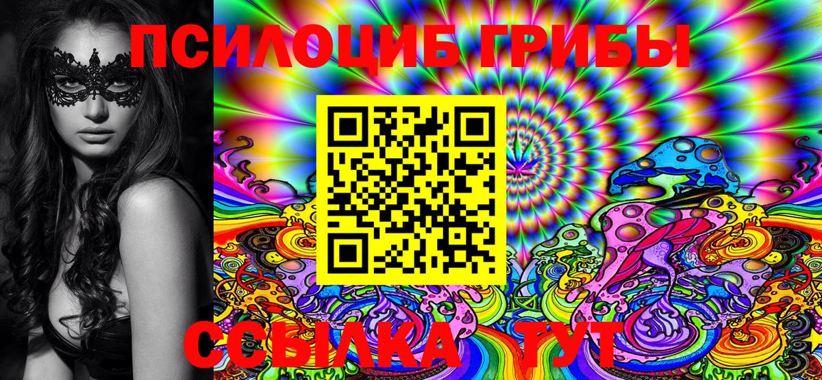 Богданович  Псилоцибиновые грибы MAGIC MUSHROOMS  Псилоцибиновые грибы мицелий  закладки  Вход с VPN 